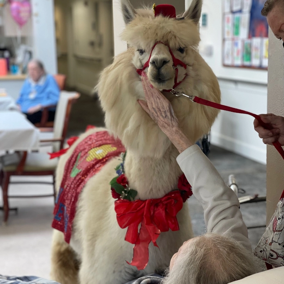 St. Anthony Village Mothers day